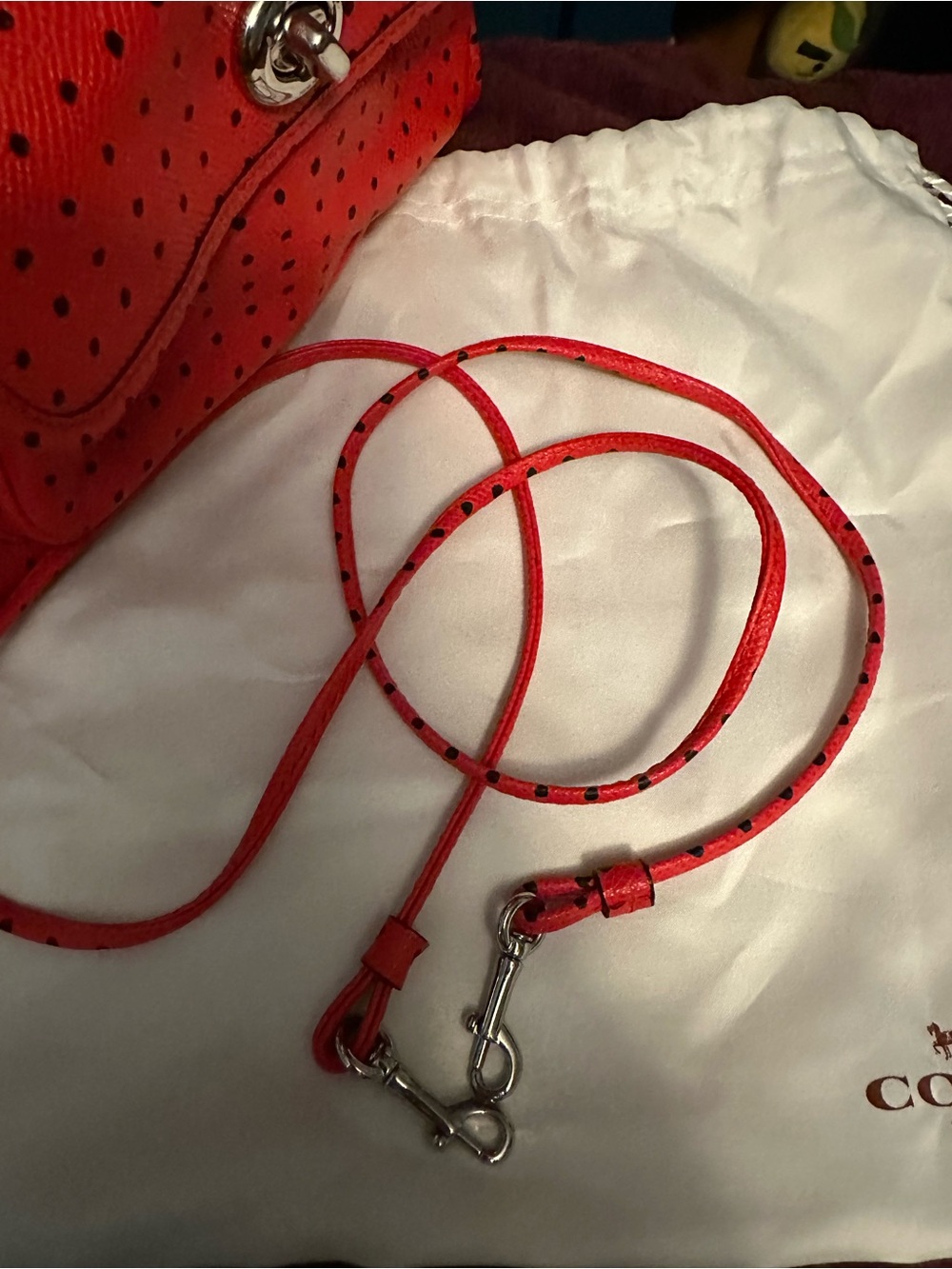 Coach Cady Crossbody Safari Reedition Red Bandit 2014 Handbag 34471 LIKE NEW - Picture 5 of 11